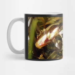 grass snake with a fish Mug